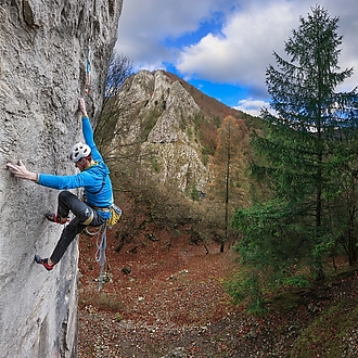 Gekón: 📸 Roman Ripka